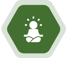 Holistic Wellness Focus